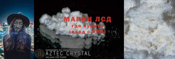 стаф Верея
