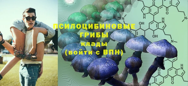 бошки Тавда